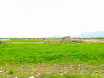 Döşemealtı Yeşilbayır’da 861 m² Köşe Konumlu, Çift Cepheli Villa İmarlı Arsa