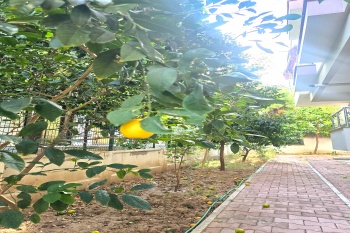 KONYAALTI ALTINKUMDA ASANSARLÜ DENİZE 250 METRE EŞYALI LÜX DAİRE