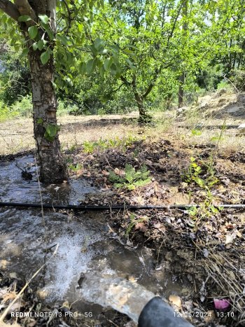 KONYAALTI DOYRANDA SATILIK 5460M2 TEK TAPU EV VE BAHÇE