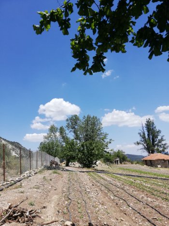 KONYAALTI DOYRANDA SATILIK 5460M2 TEK TAPU EV VE BAHÇE